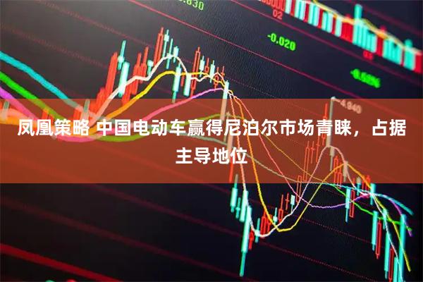 凤凰策略 中国电动车赢得尼泊尔市场青睐，占据主导地位