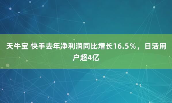 天牛宝 快手去年净利润同比增长16.5%,日活用户超4亿