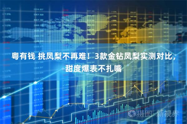 粤有钱 挑凤梨不再难！3款金钻凤梨实测对比，甜度爆表不扎嘴