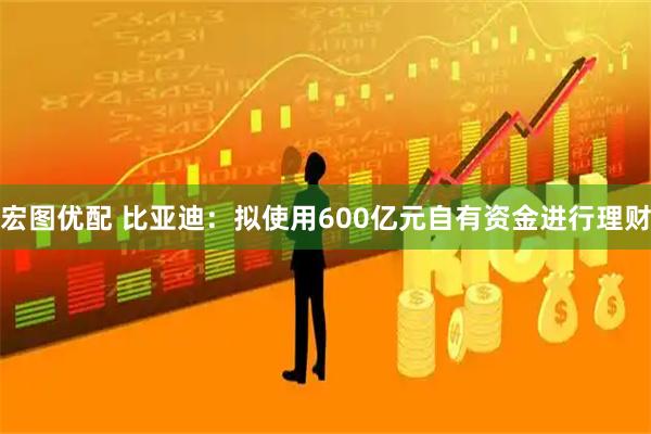 宏图优配 比亚迪：拟使用600亿元自有资金进行理财