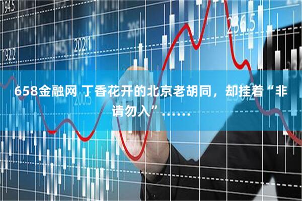 658金融网 丁香花开的北京老胡同，却挂着“非请勿入”……