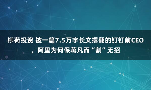 柳荷投资 被一篇7.5万字长文撂翻的钉钉前CEO，阿里为何保蒋凡而“割”无招